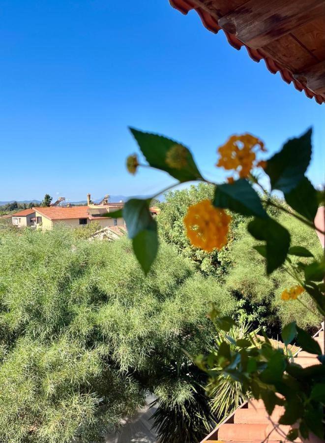 Apartament Casa Di Rosy San Sperate Zewnętrze zdjęcie