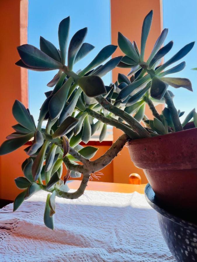 Apartament Casa Di Rosy San Sperate Zewnętrze zdjęcie